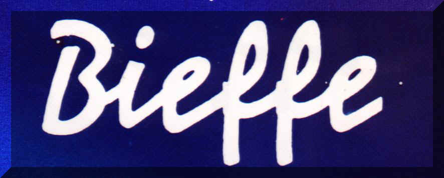 link al sito - bieffe